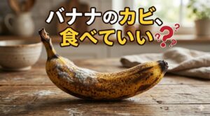 バナナのカビ、食べていい？Geminiの履歴から覗く、僕のAI活用日常